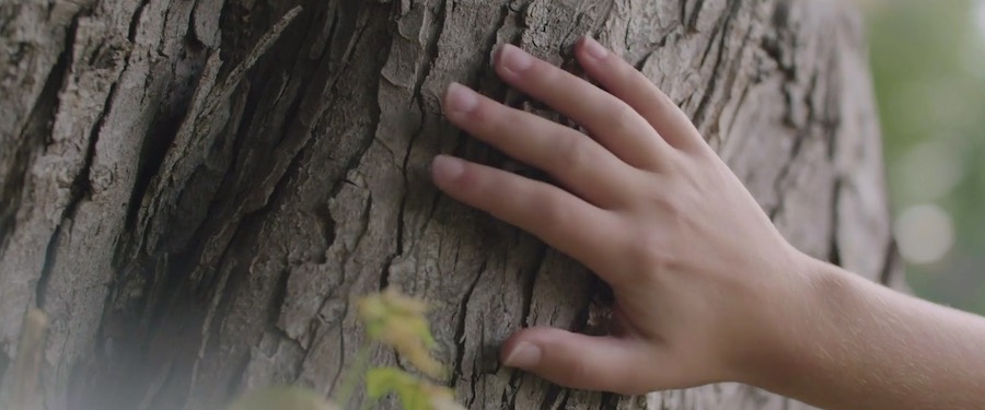 7 tips voor het creëren van awareness met een branding video 7 tips voor het creëren van awareness met een branding video